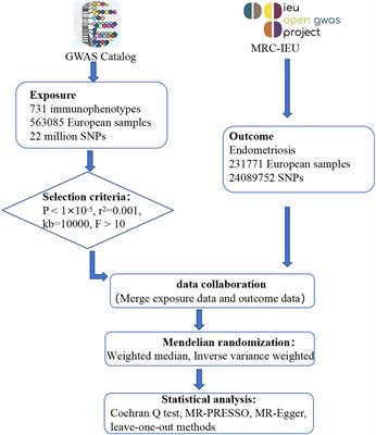 Causal association of immune cells and endometriosis: a Mendelian randomization study